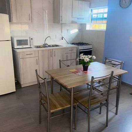 Cozy 1-Bedroom Apartment Close To City Center วิลเลมสตัด ภายนอก รูปภาพ